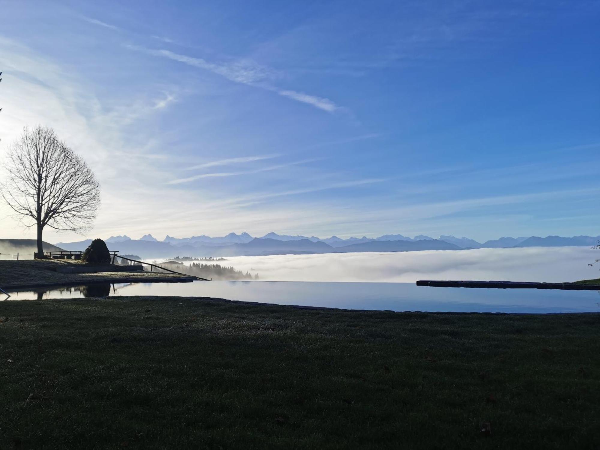 Baernsicht Panorama Hotel Wasen Экстерьер фото